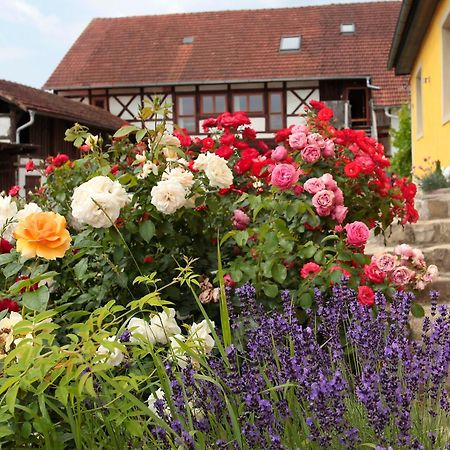 Studioapartment Mit Wohlfuehlcharakter 利特曾多夫 外观 照片